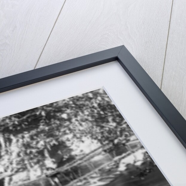 Rope bridge, Jhelum Valley, Kashmir, India by F Bremner