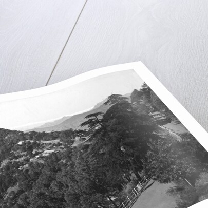 Longwood Hotel, Elysium Hill, Shimla hill range, India by Anonymous