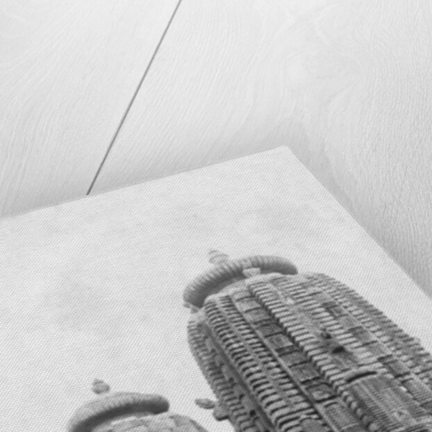 Lingaraj temple, Bhubaneswar, Orissa,  India by FL Peters