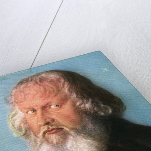 Hieronymus Holzschuher by Albrecht Dürer