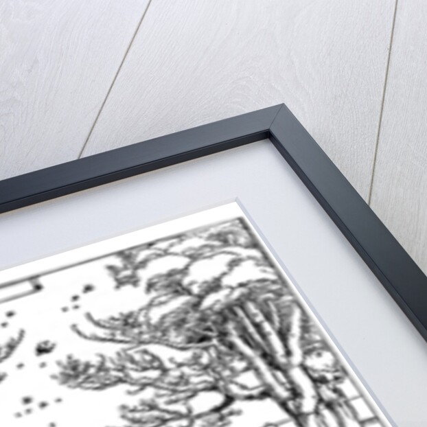 Hercules Killing the Molionides by Albrecht Dürer