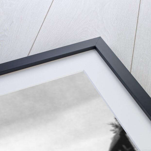 Albrecht Dürer's house, Nuremberg by Albrecht Dürer