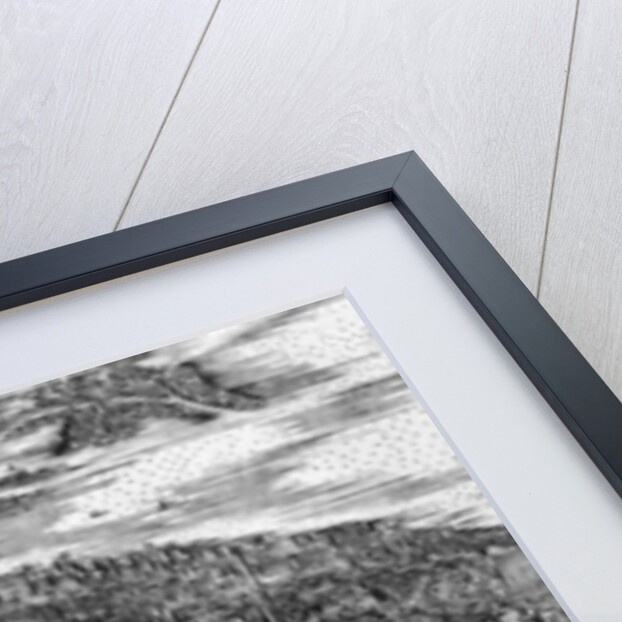 Venice by Jacopo de' Barbari