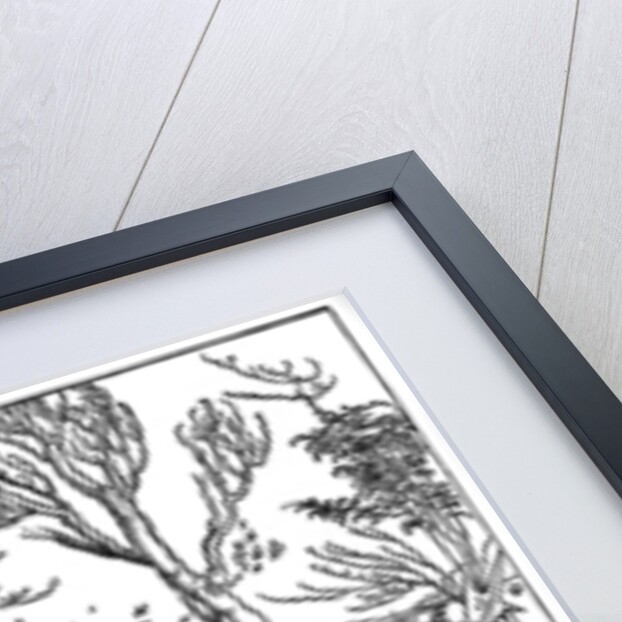 The Knight and the Landsknecht (Soldier Servant)' by Albrecht Dürer