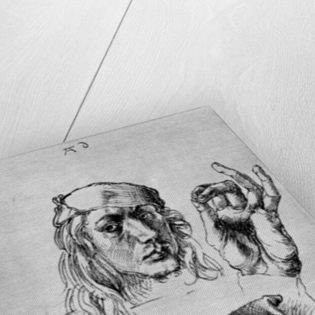 Self Portrait with a Pillow by Albrecht Dürer