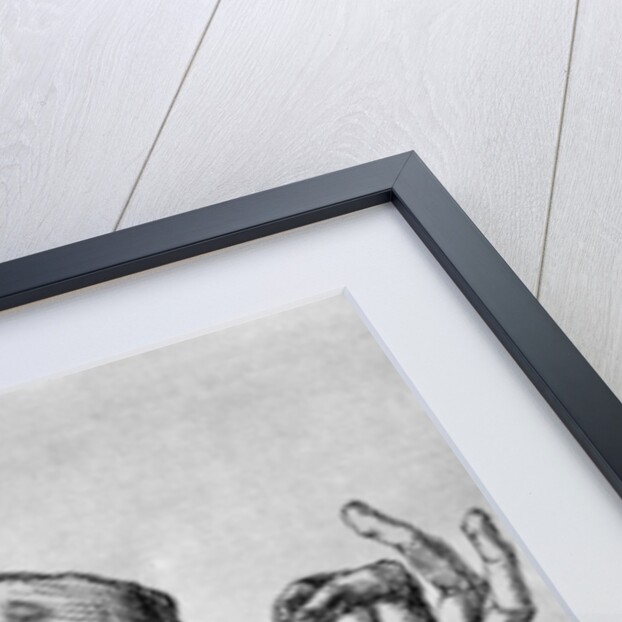 Self Portrait with a Pillow by Albrecht Dürer