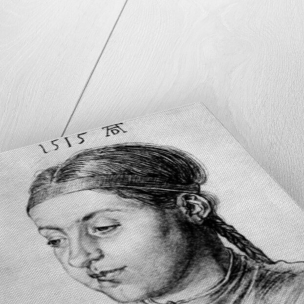 Head of a Girl by Albrecht Dürer