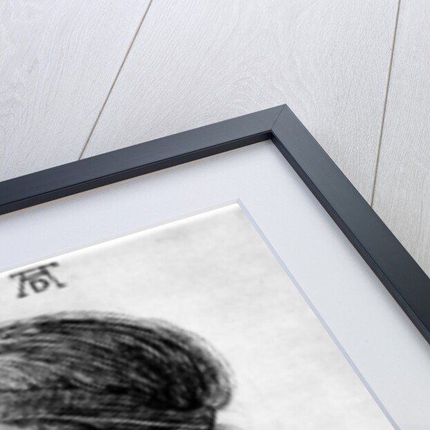 Head of a Girl by Albrecht Dürer