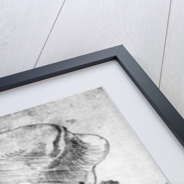 Cardinal Lang von Wellenburg by Albrecht Dürer