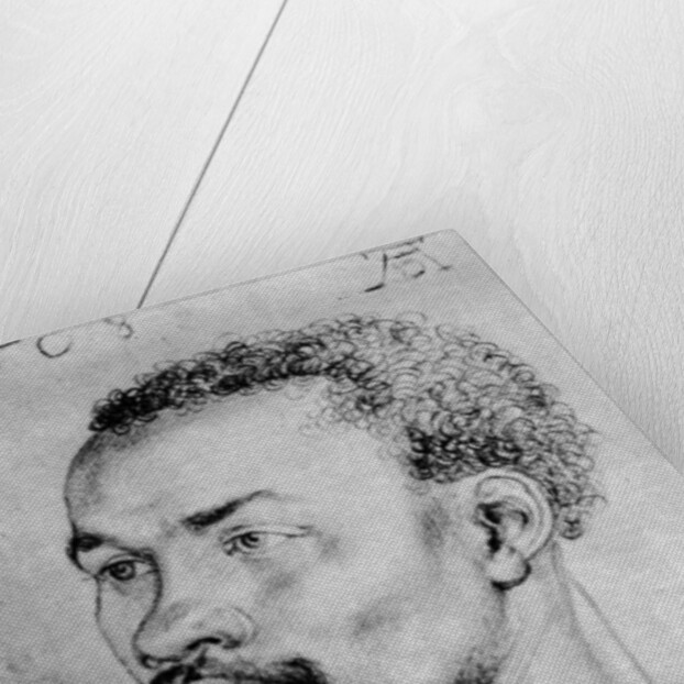 Portrait of a Negro by Albrecht Dürer