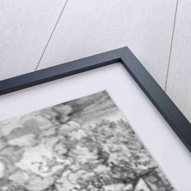 The Virgin and many animals by Albrecht Dürer