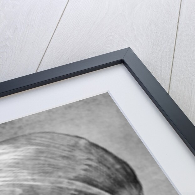 Apostle by Albrecht Dürer