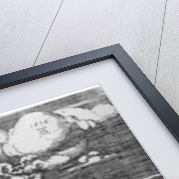 The Abduction on the Unicorn by Albrecht Dürer