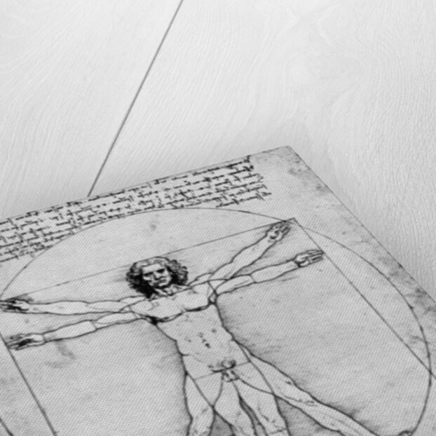 Proportions of the human figure by Albrecht Dürer