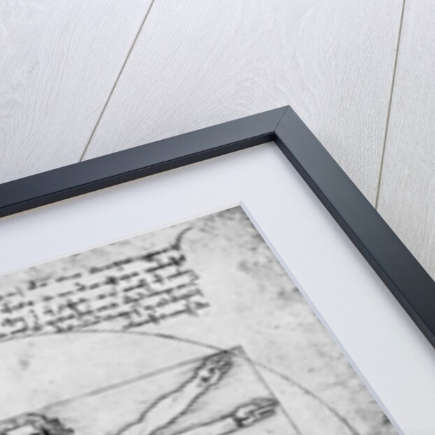 Proportions of the human figure by Albrecht Dürer