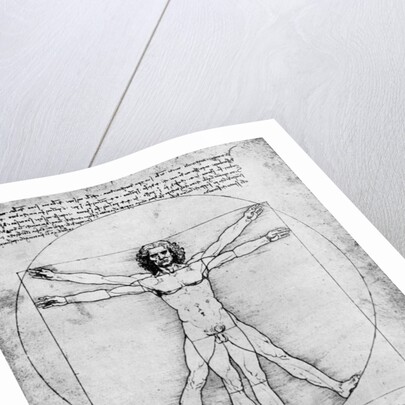 Proportions of the human figure by Albrecht Dürer