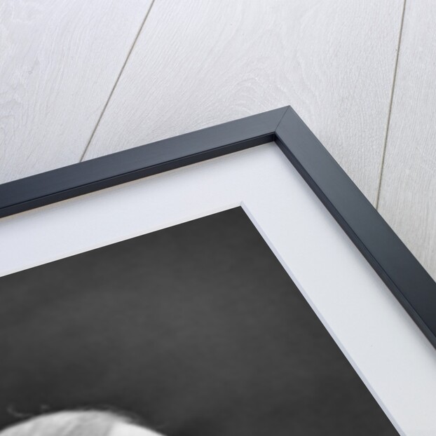 The Archbishop of Canterbury by W&D Downey