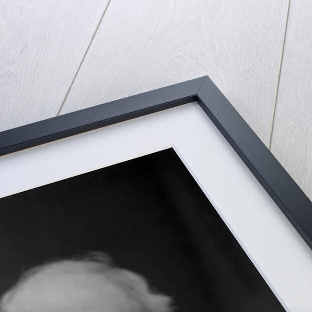 Lord William Armstrong by W&D Downey