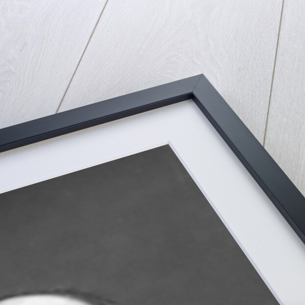 Lewis Morris, British poet by W&D Downey