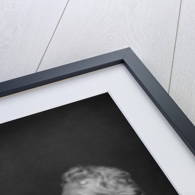 Frederic Leighton (1830-1896), 1st Baron Leighton by W&D Downey