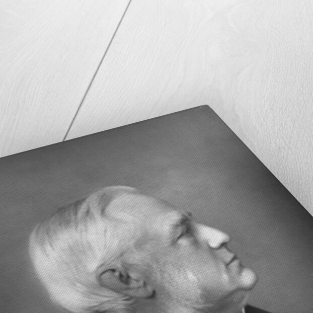 Professor Max Müller (1823-1900), German philologist and Orientalist by W&D Downey