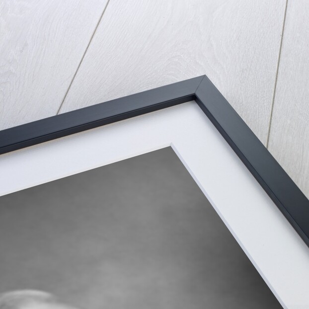 Professor Max Müller (1823-1900), German philologist and Orientalist by W&D Downey