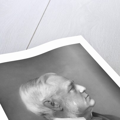 Professor Max Müller (1823-1900), German philologist and Orientalist by W&D Downey