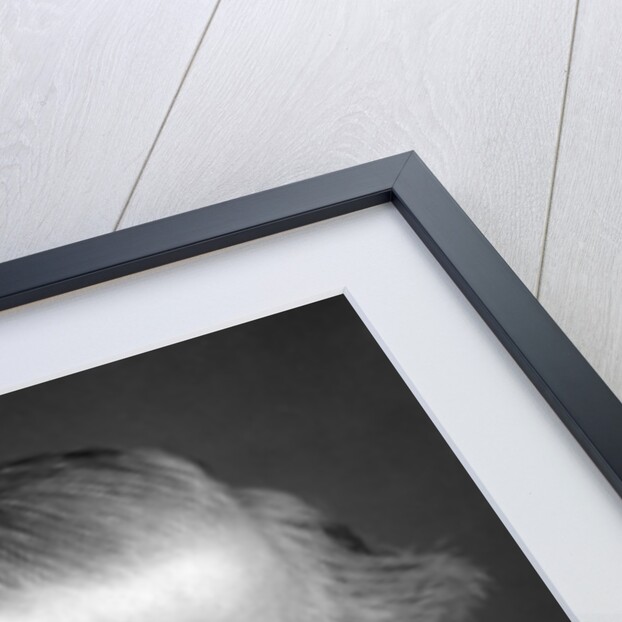 Sir Edwin Arnold (1832-1904), English poet and journalist by W&D Downey