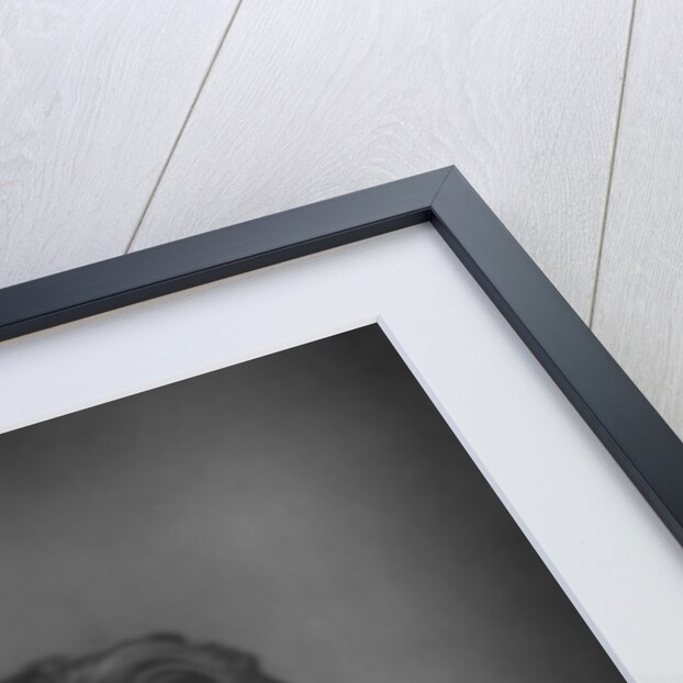 Sidney James Webb, 1st Baron Passfield (1859-1947), British socialist, economist and reformer by W&D Downey