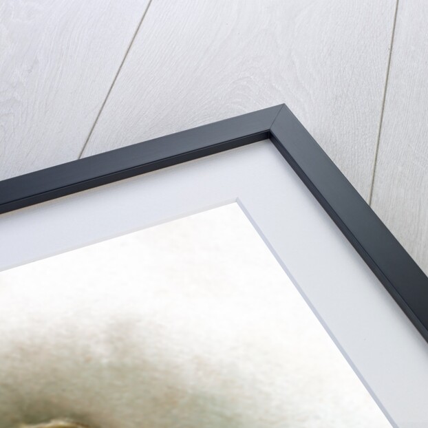 The Princes in the Tower by Frances Brundage