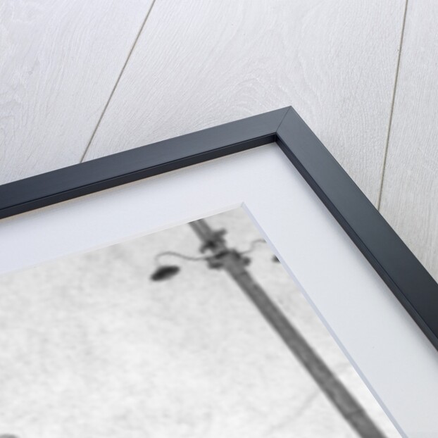 Baghdad, Iraq by Anonymous