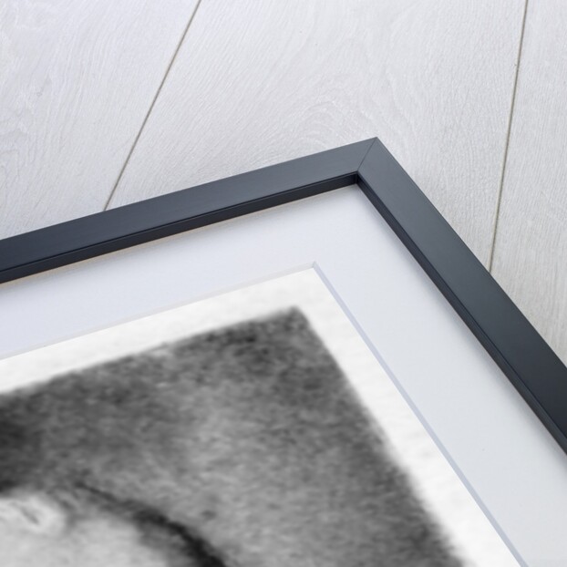 Johannes Brahms (1833-1897), German composer by Carl Jander