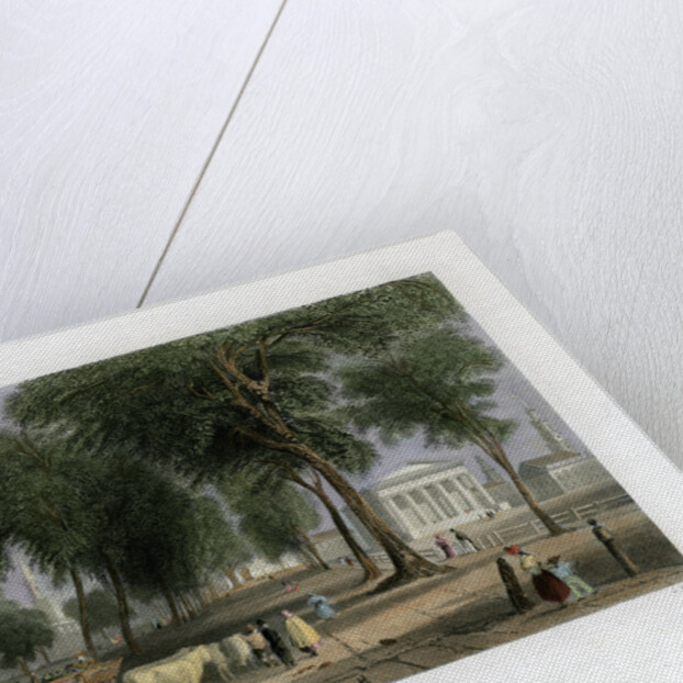 Yale College, New Haven, Connecticut, USA by J Sands