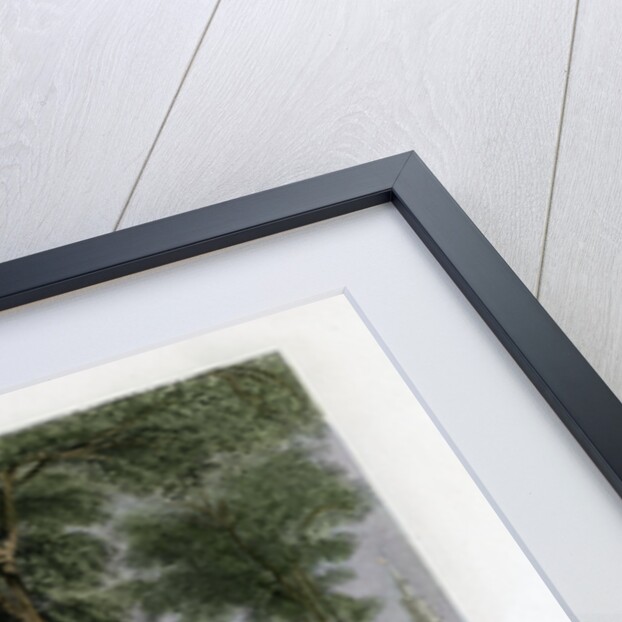 Yale College, New Haven, Connecticut, USA by J Sands