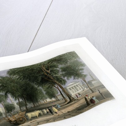 Yale College, New Haven, Connecticut, USA by J Sands