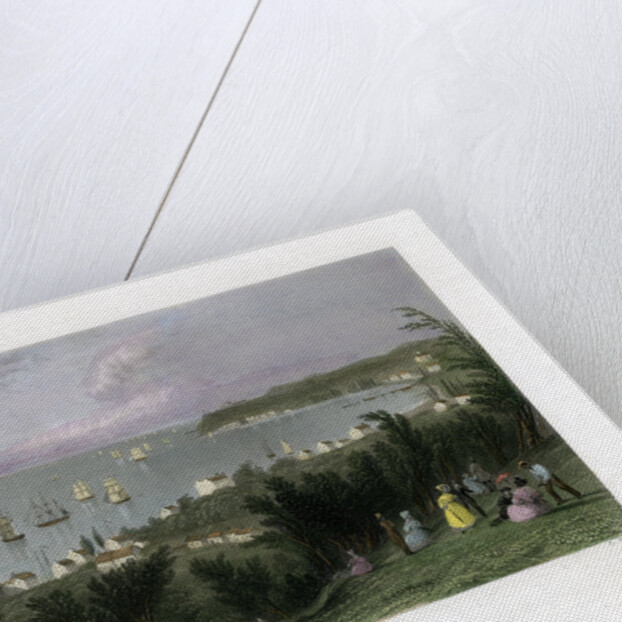 The Narrows as seen from Staten Island, New York, USA by E Finden