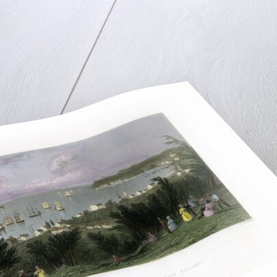 The Narrows as seen from Staten Island, New York, USA by E Finden