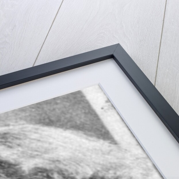 Beatrice Seymour (1886-1955), British writer by Anonymous