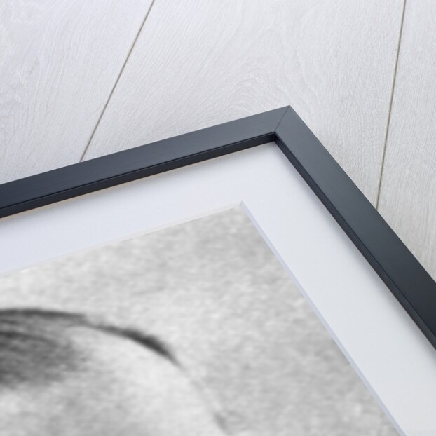 Idrisyn Oliver Evans (1894-1977), Welsh writer by Anonymous