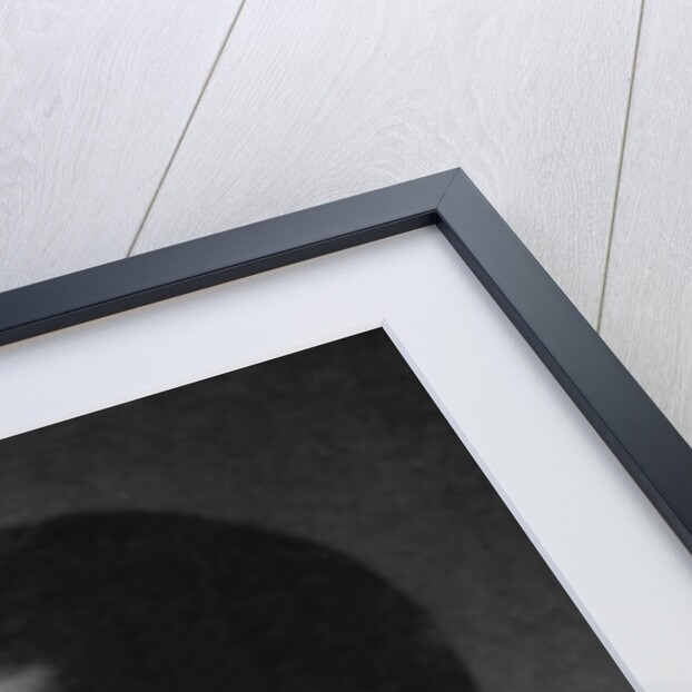 Martin Donisthorpe Armstrong (1882-1974), English writer and poet by Anonymous