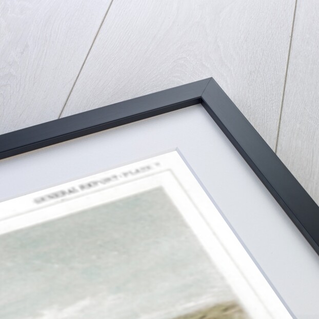Herd of Bison Near Lake Jessie, North Dakota, USA by John Mix Stanley