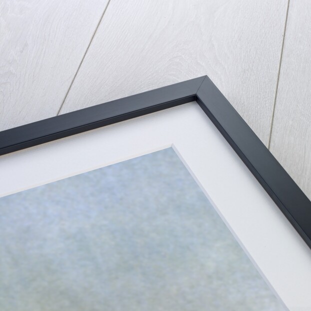 On the October Trail by NC Wyeth