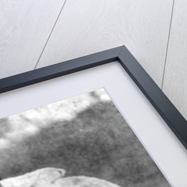 Peasant woman, northern Portugal by O Bobone