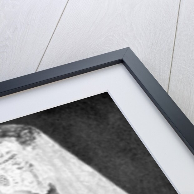 Woman wearing a lace mantilla, Andalusia, Spain by Fox