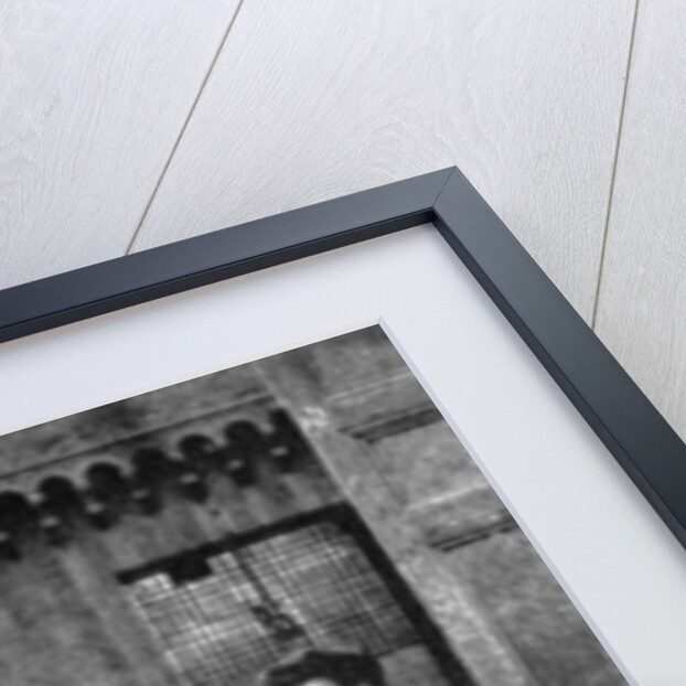 Swiss Guards, Vatican City, Rome by Donald McLeish