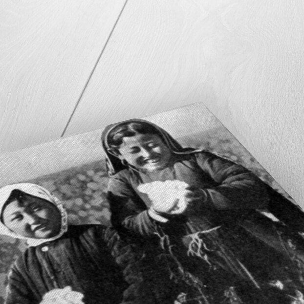 Girls in a cotton field, Kazakhstan by Anonymous