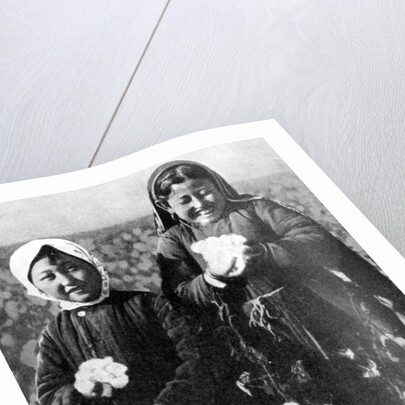Girls in a cotton field, Kazakhstan by Anonymous