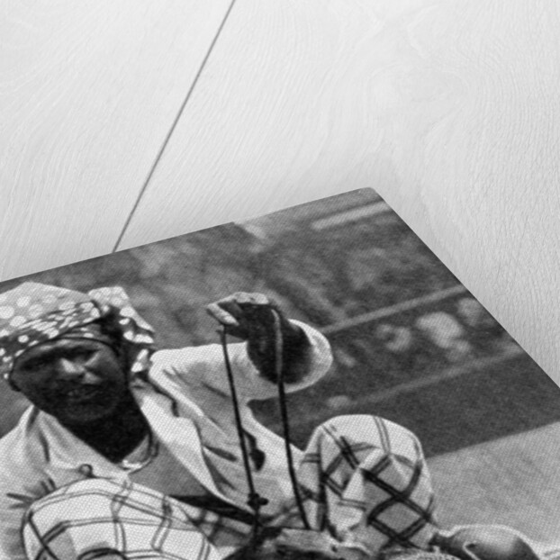 Indian snake charmer with mongoose and cobra by Fox