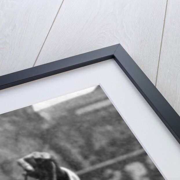 Indian snake charmer with mongoose and cobra by Fox