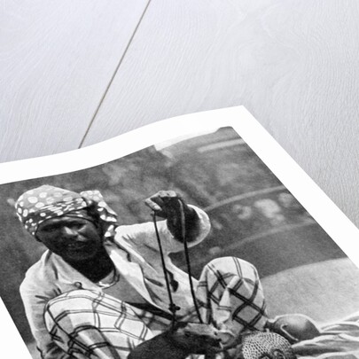 Indian snake charmer with mongoose and cobra by Fox